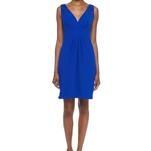 Monique Lhuillier Size 10  Blue Dress